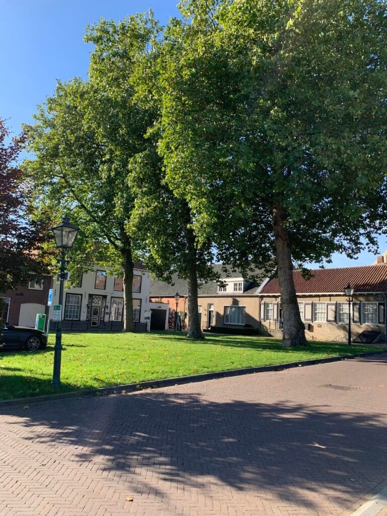 Woning te huur: Ter Wallestraat, Biervliet
